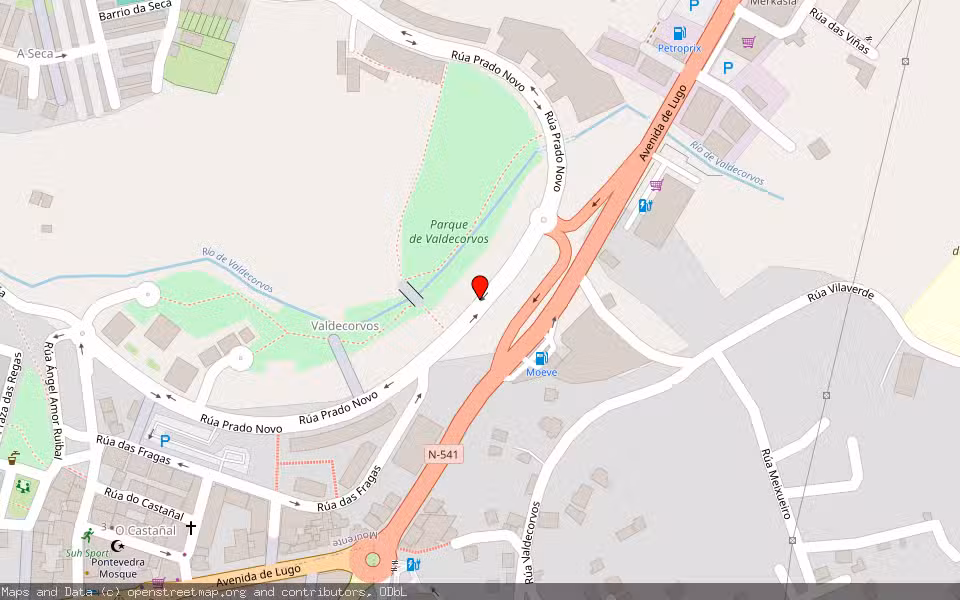 Mapa de Subasta Inmueble (Vivienda) en Pontevedra