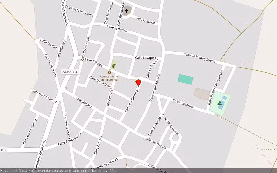 Mapa de Subasta Inmueble (Vivienda) en Villafafila, Zamora