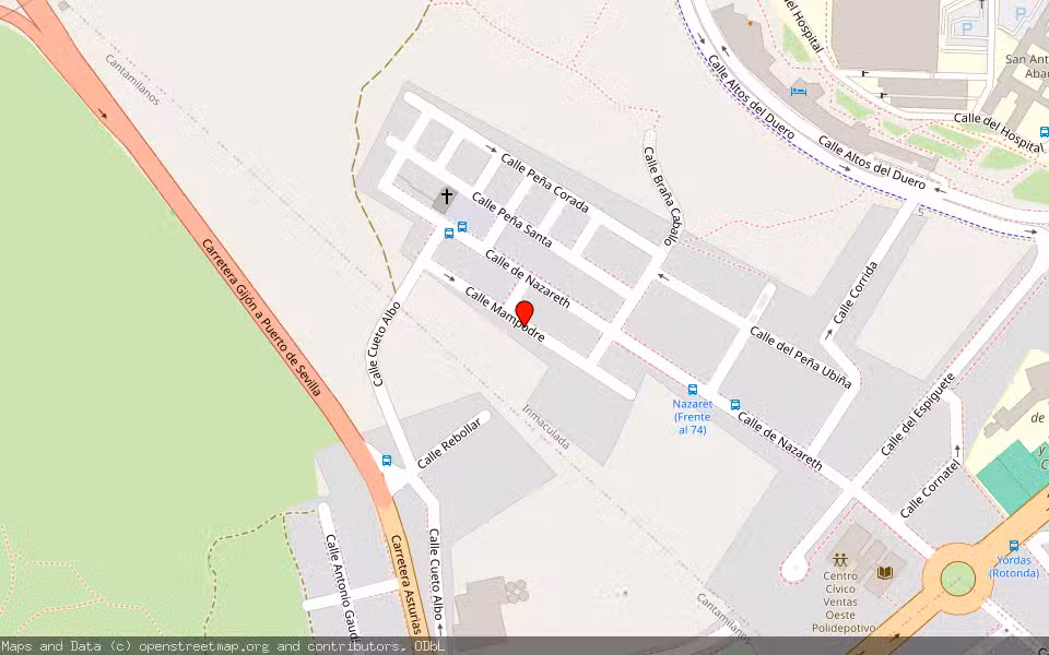 Mapa de Subasta Inmueble (Vivienda) en Leon, León