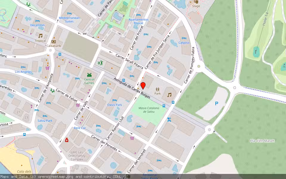 Mapa de Subasta Inmueble (Vivienda) en Salou, Tarragona