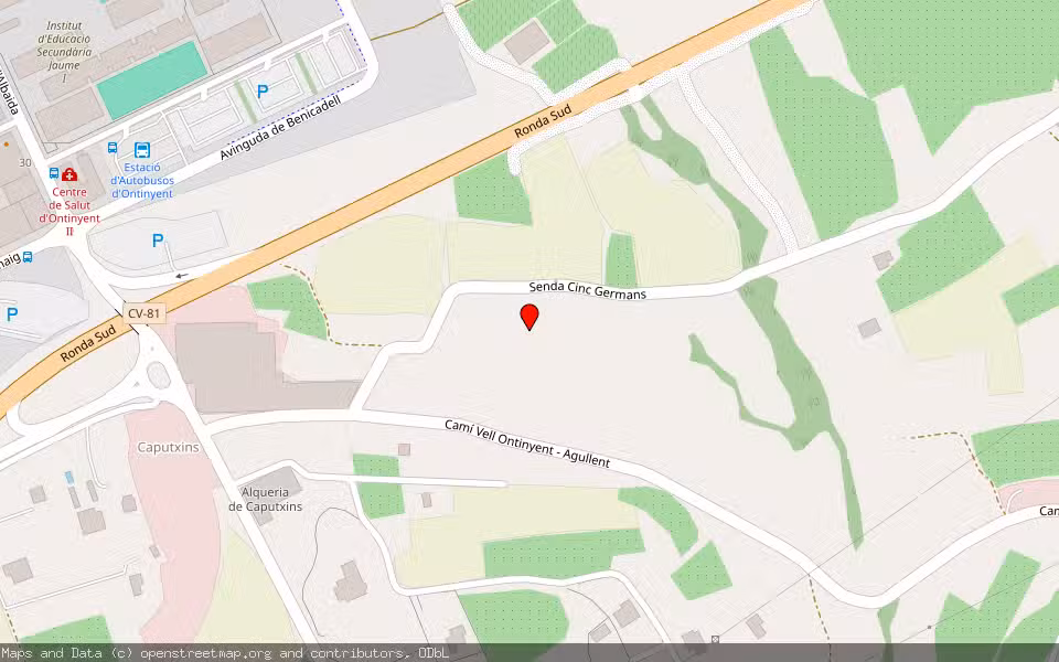 Mapa de Subasta Inmueble (Finca rústica) en El Pla, Ontinyent, Valencia/València