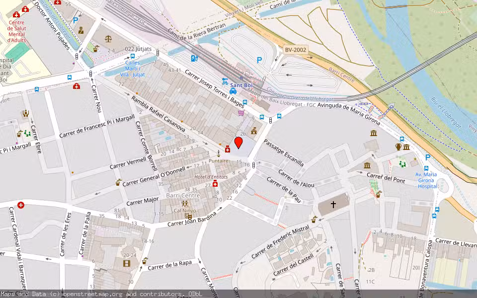 Mapa de Subasta Inmueble (Vivienda) en Sant Boi De Llobregat, Barcelona