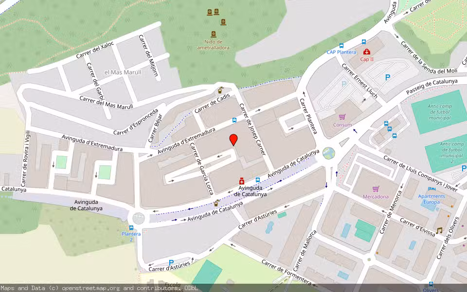 Mapa de Subasta Inmueble (Vivienda) en Blanes, Girona