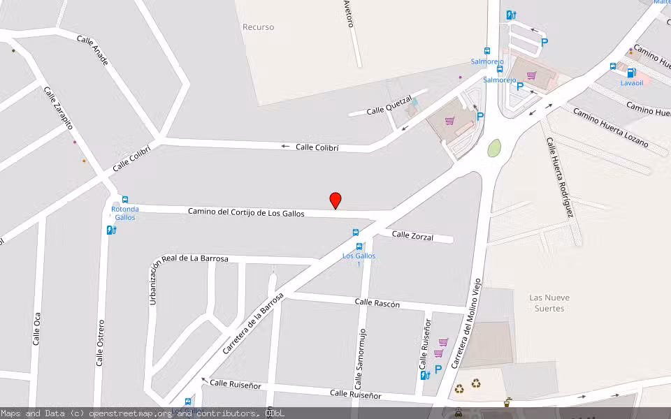 Mapa de Subasta Inmueble (Vivienda) en Chiclana De La Frontera, Cádiz