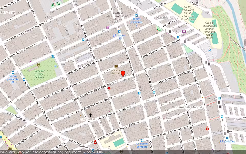 Mapa de Subasta Inmueble (Vivienda) en Elche, Alicante/Alacant