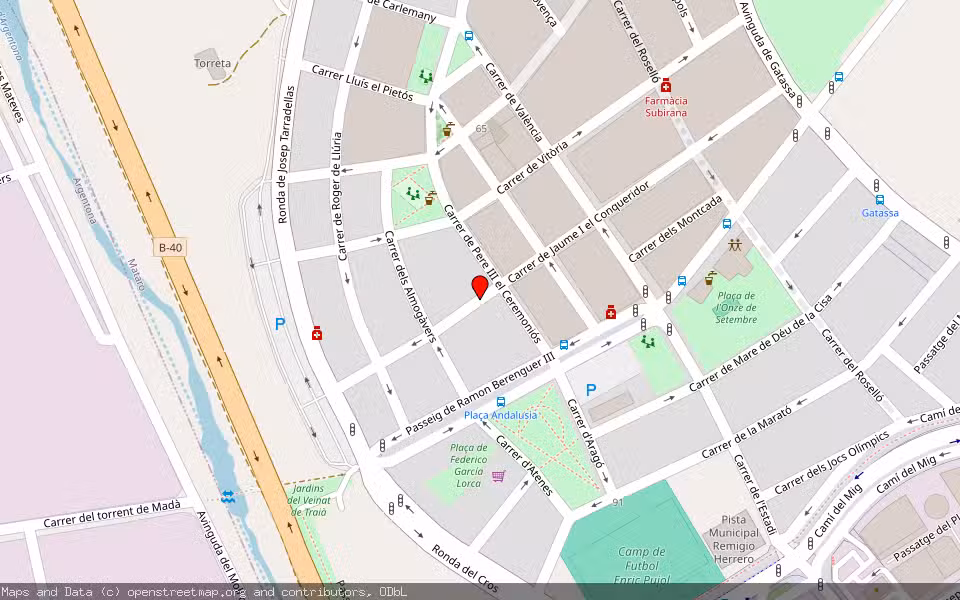 Mapa de Subasta Inmueble (Vivienda) en Mataro, Barcelona