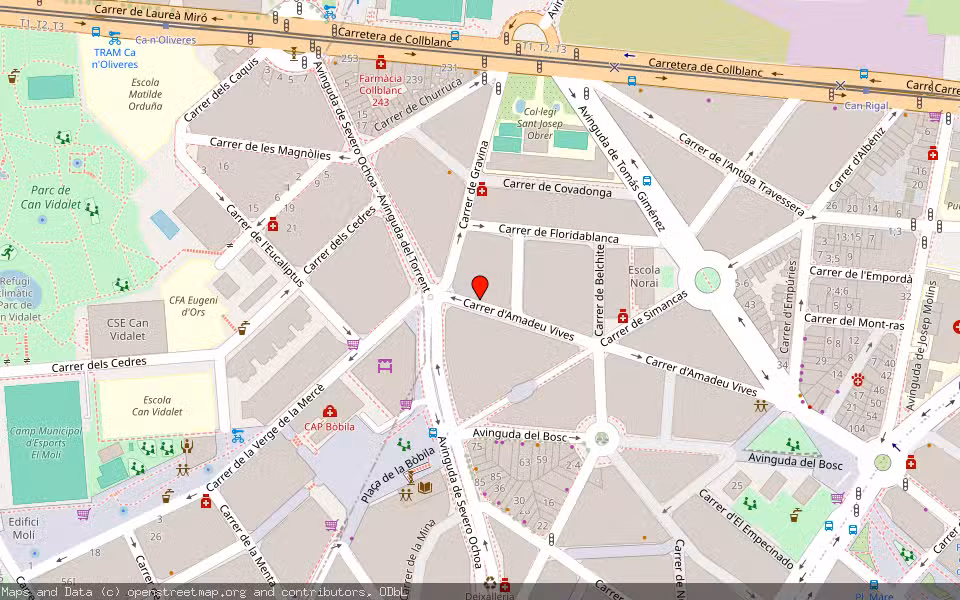 Mapa de Subasta Inmueble (Vivienda) en Hospitalet De Llobregat (l'), Barcelona