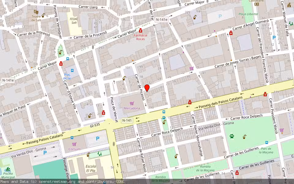 Mapa de Subasta Inmueble (Vivienda) en Salt, Girona