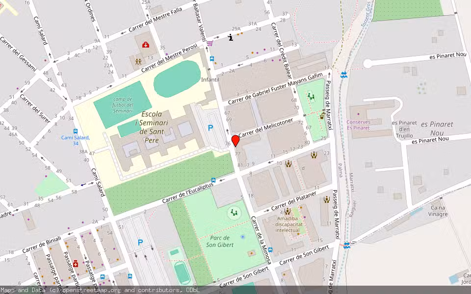 Mapa de Subasta Inmueble (Vivienda) en Palma, Illes Balears