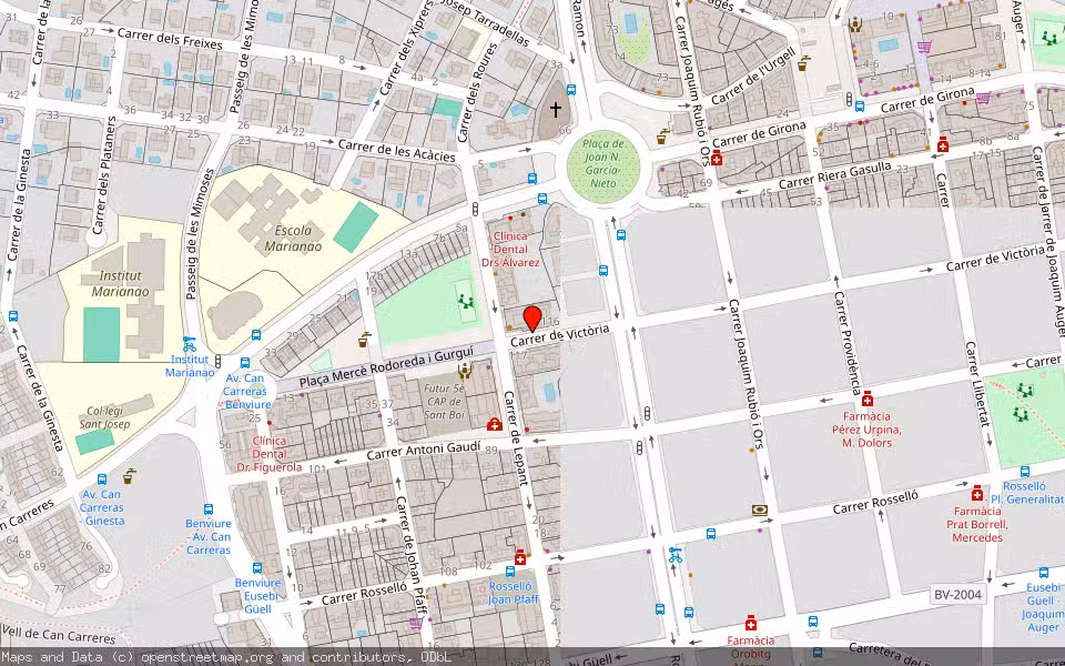Mapa de Subasta Inmueble (Vivienda) en Sant Boi De Llobregat, Barcelona