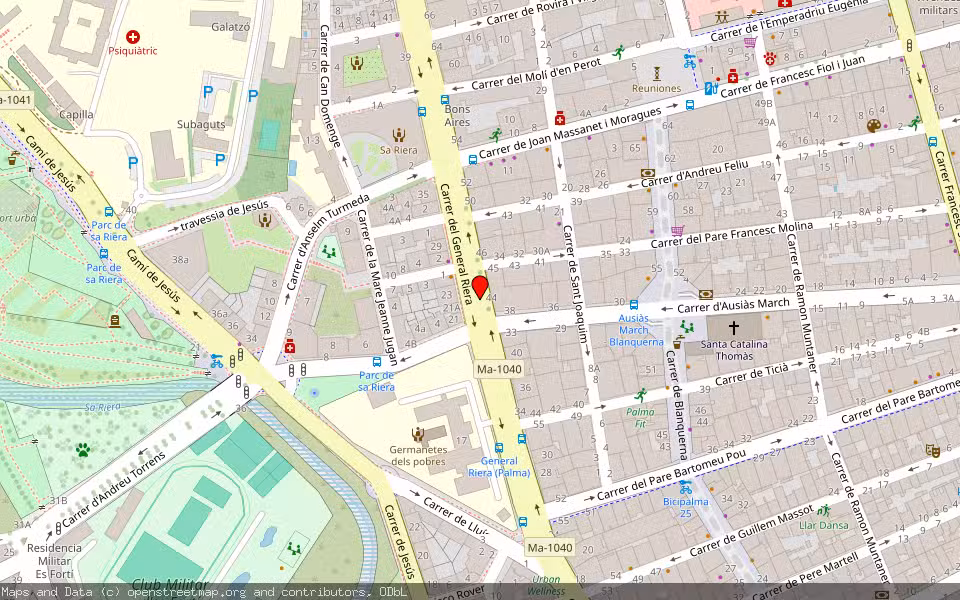 Mapa de Subasta Inmueble (Vivienda) en Palma, Illes Balears