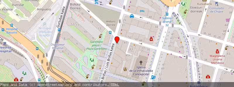 Mapa de Subasta de Inmueble (Vivienda) en Bilbao, Vizcaya (Bizkaia) 