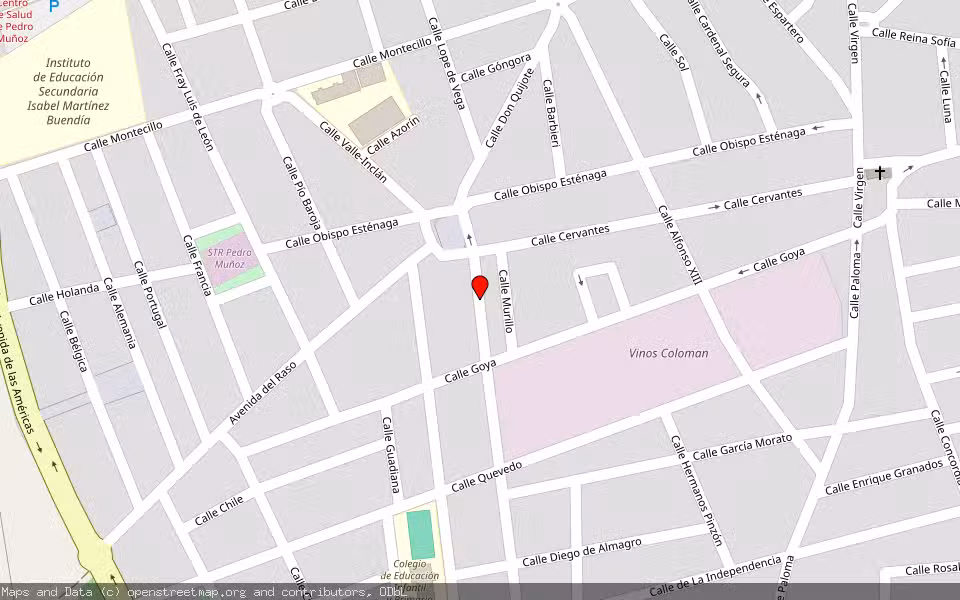 Mapa de Subasta Inmueble (Trastero) en Pedro Muñoz, Ciudad Real