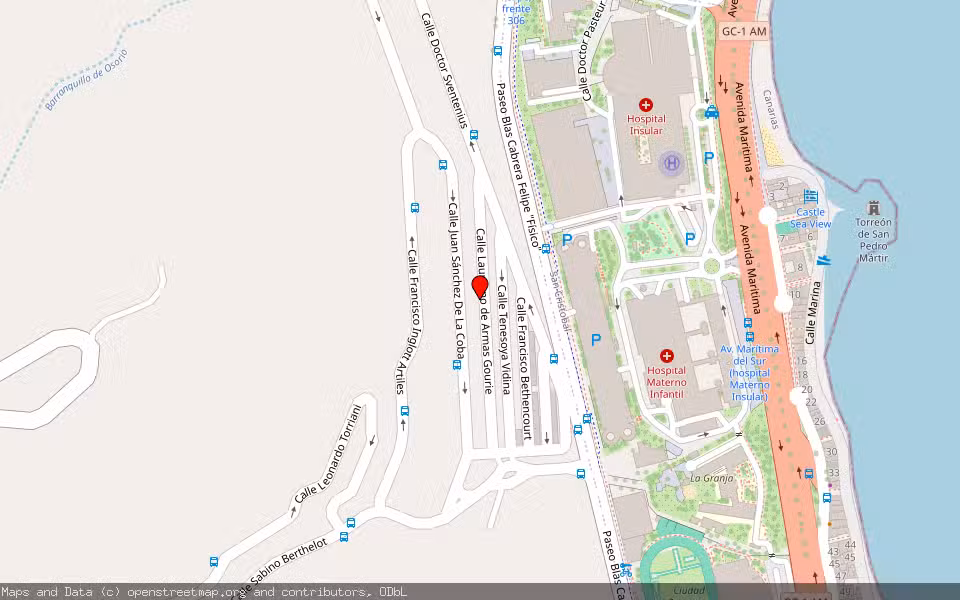 Mapa de Subasta Inmueble (Vivienda) en Las Palmas De Gran Canaria, Las Palmas