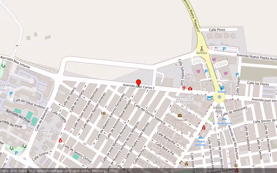 Mapa de Subasta Inmueble (Solar) en Barbate, Cádiz
