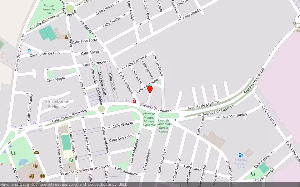 Mapa de Subasta Inmueble (Vivienda) en Mairena Del Alcor, Sevilla