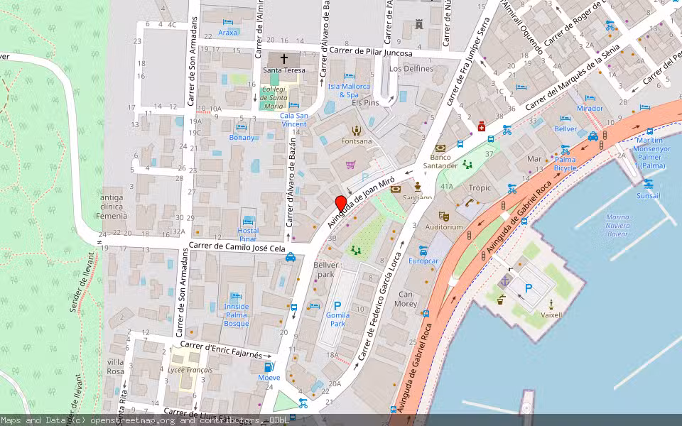 Mapa de Subasta Inmueble (Garaje) en Palma, Illes Balears