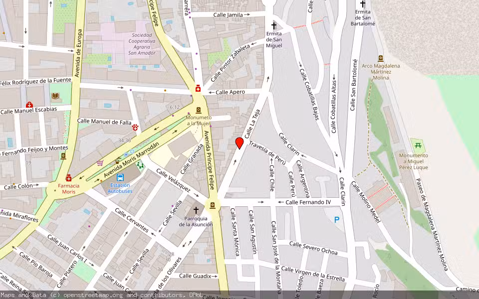 Mapa de Subasta Inmueble (Vivienda) en Martos, Jaén