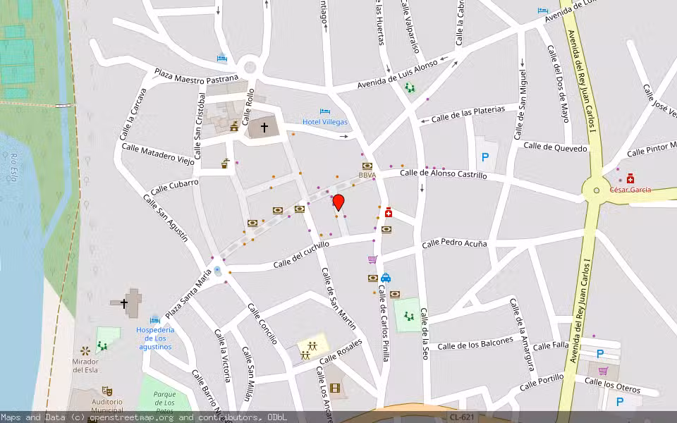 Mapa de Subasta Inmueble (Vivienda) en Valencia De Don Juan, León