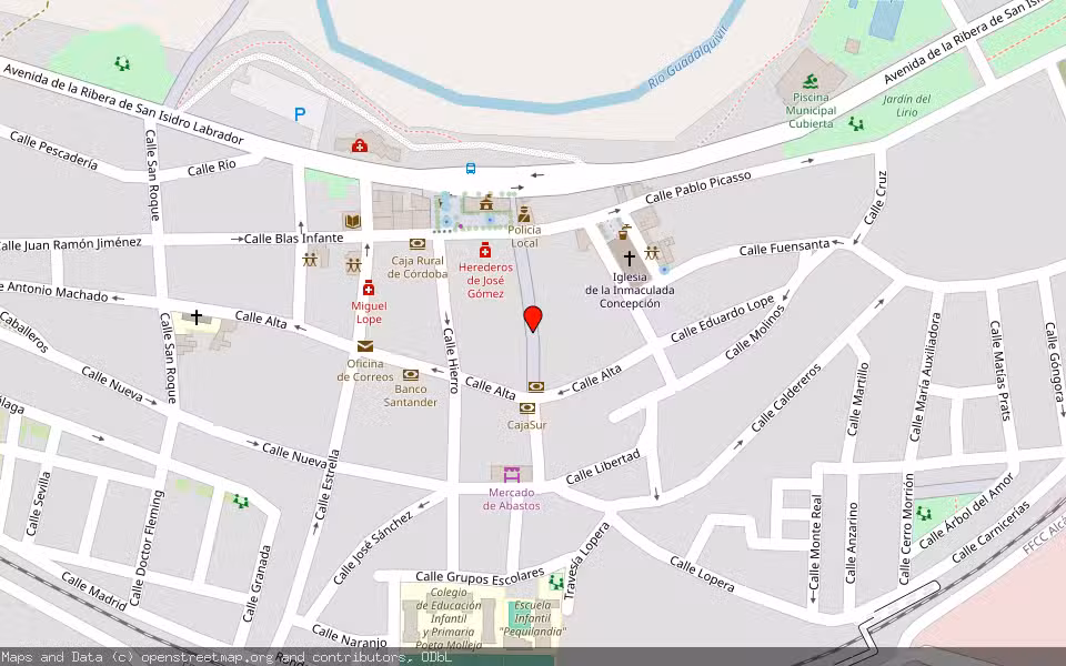 Mapa de Subasta Inmueble (Vivienda) en Villa Del Rio, Córdoba