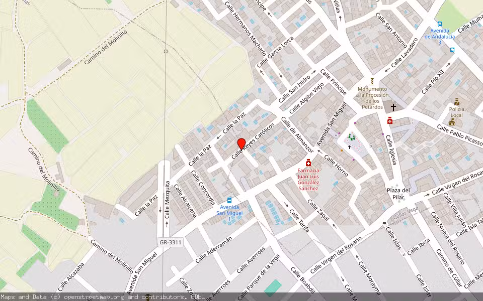 Mapa de Subasta Inmueble (Vivienda) en Las Gabias, Granada