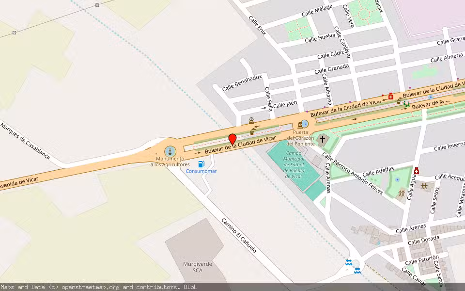 Mapa de Subasta Inmueble (Local comercial) en Vicar, Almería