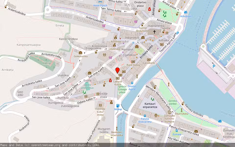 Mapa de Subasta Inmueble (Vivienda) en Zumaia, Gipuzkoa