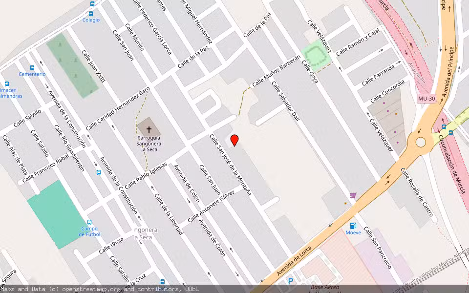 Mapa de Subasta Inmueble (Solar) en Murcia