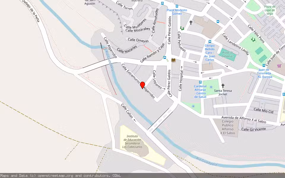 Mapa de Subasta Inmueble (Finca rústica) en Arcos De La Frontera, Cádiz