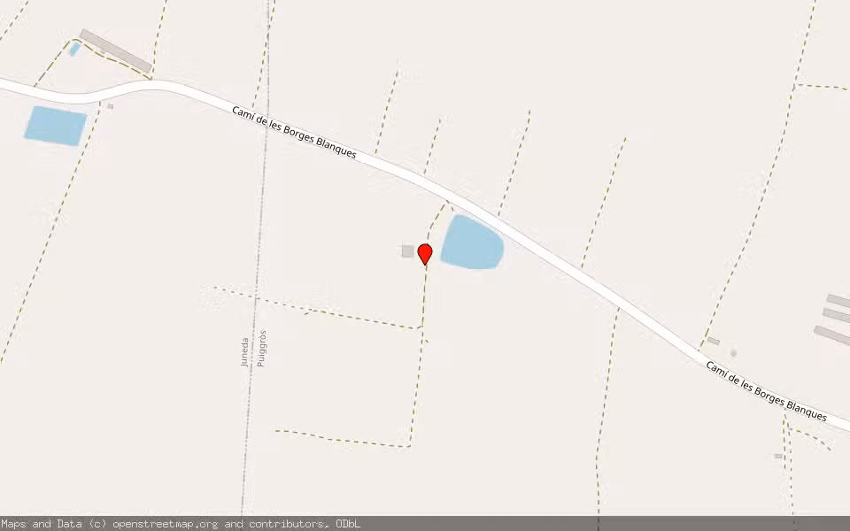 Mapa de Subasta Inmueble (Finca rústica) en Puig-gros, Lleida