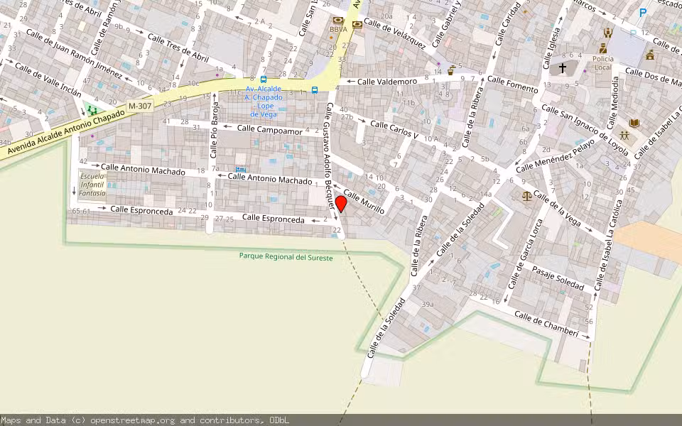 Mapa de Subasta Inmueble (Vivienda) en San Martín De La Vega, Madrid
