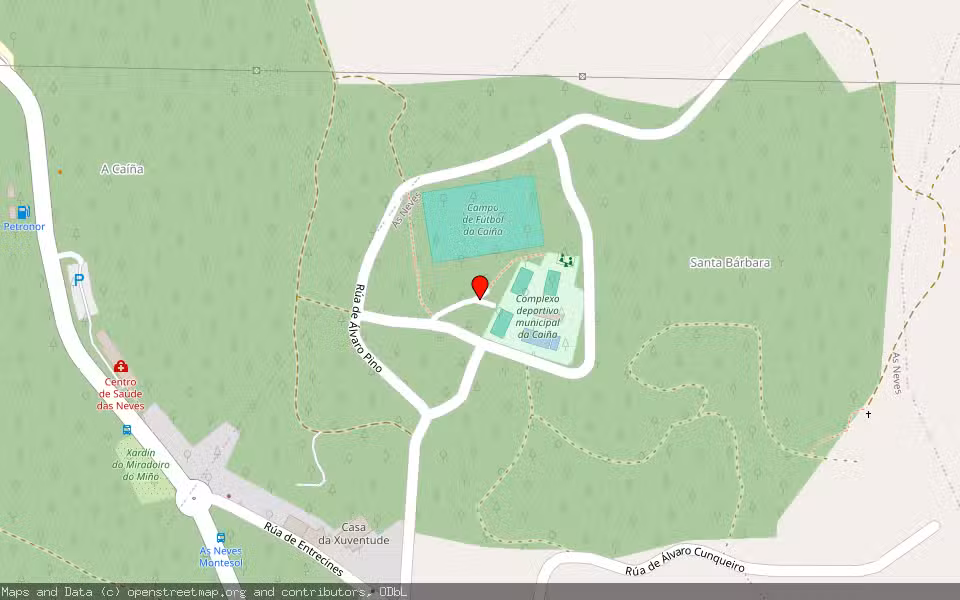 Mapa de Subasta Inmueble (Vivienda) en As Neves, Pontevedra