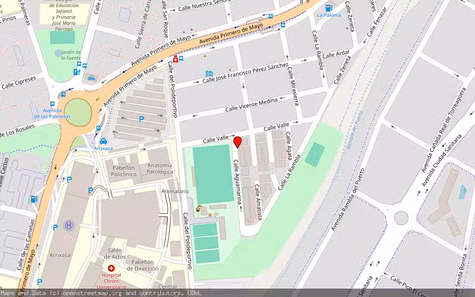 Mapa de Subasta Inmueble (Vivienda) en Murcia