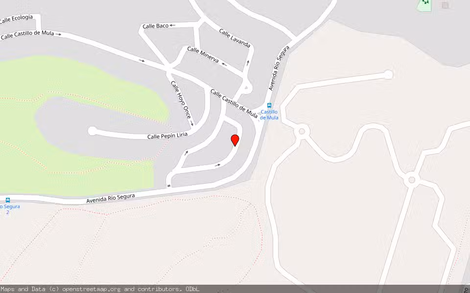 Mapa de Subasta Inmueble (Vivienda) en Molina De Segura, Murcia