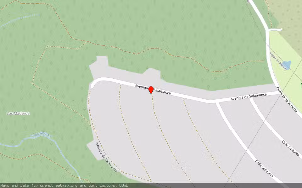 Mapa de Subasta Inmueble (Solar) en Vegas De Matute, Segovia