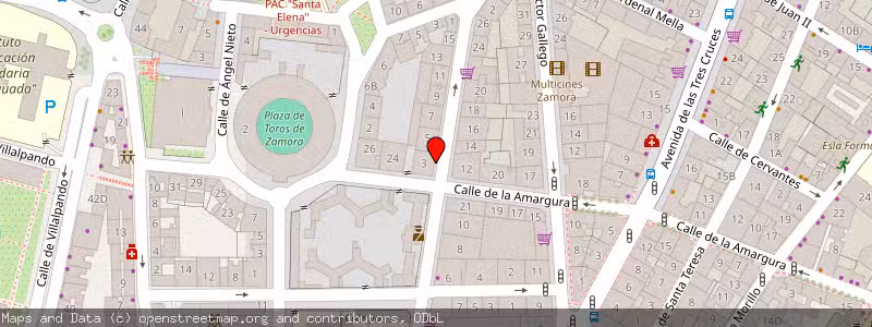 Mapa de Subasta de Inmueble (Local comercial) en Zamora, Zamora 