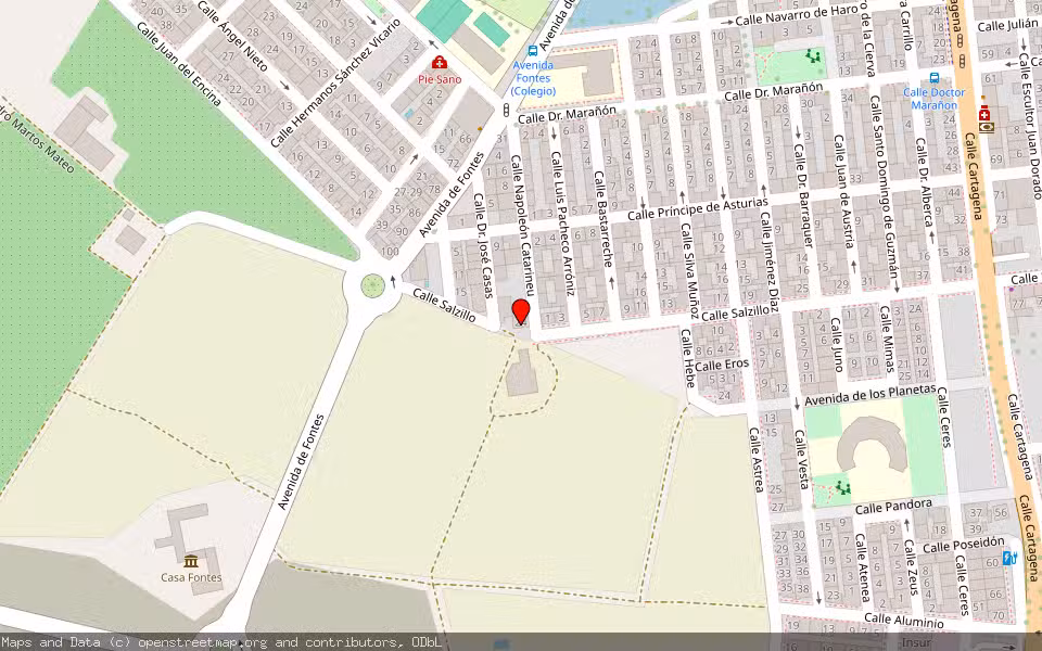 Mapa de Subasta Inmueble (Local comercial) en Torre-pacheco, Murcia