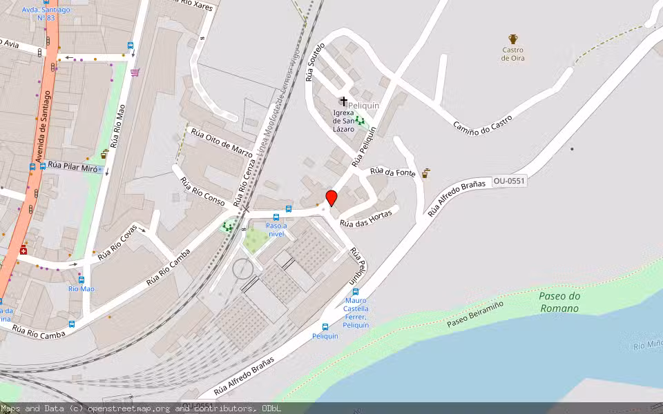 Mapa de Subasta Inmueble (Vivienda) en Ourense
