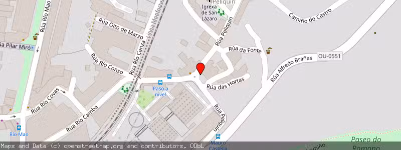 Mapa de Subasta de Inmueble (Vivienda) en Ourense, Orense (Ourense) 