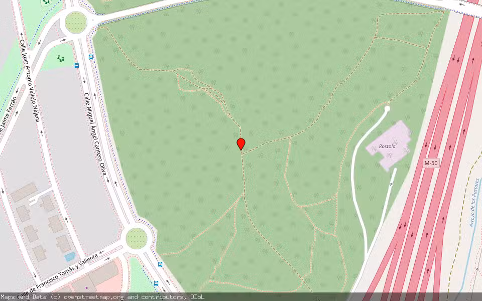 Mapa de Subasta Inmueble (Finca rústica) en Treviana, La Rioja