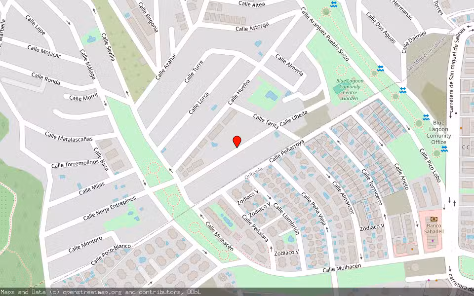 Mapa de Subasta Inmueble (Vivienda) en San Miguel De Salinas, Alicante/Alacant