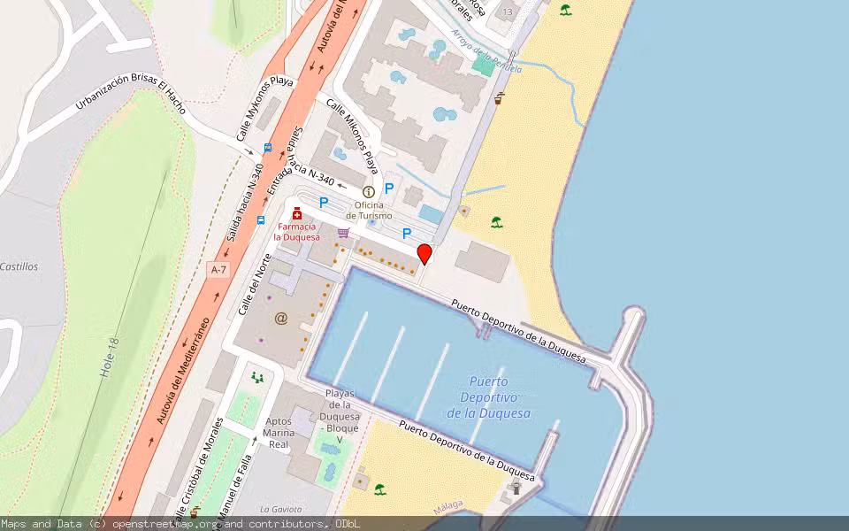 Mapa de Subasta Inmueble (Otros) en Manilva, Málaga