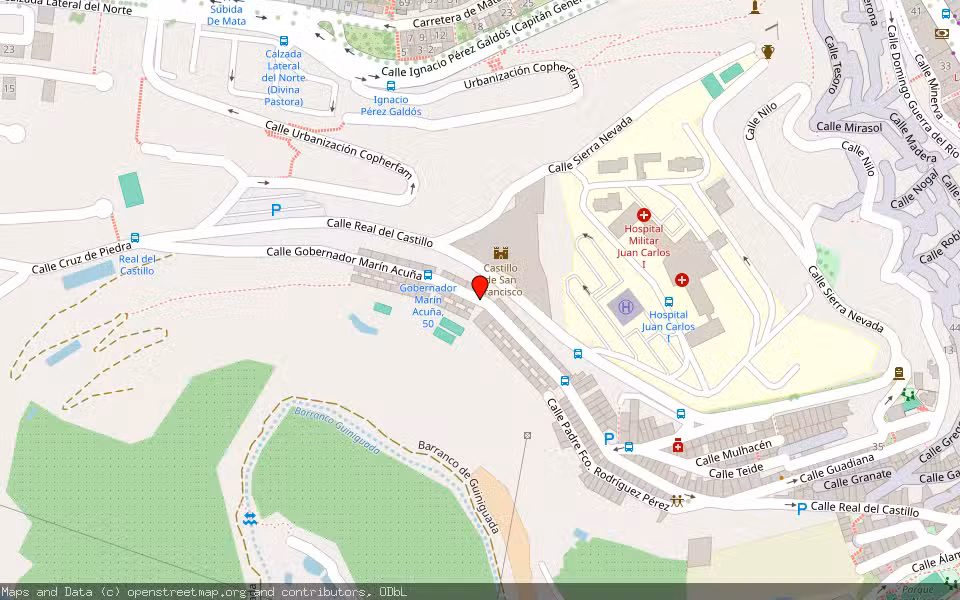 Mapa de Subasta Inmueble (Vivienda) en Las Palmas De Gran Canaria, Las Palmas