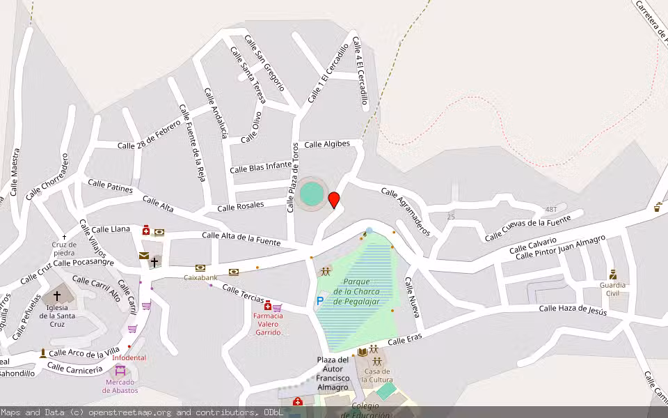 Mapa de Subasta Inmueble (Local comercial) en Pegalajar, Jaén