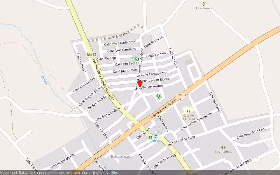 Mapa de Subasta Inmueble (Vivienda) en Fuente Álamo De Murcia, Murcia