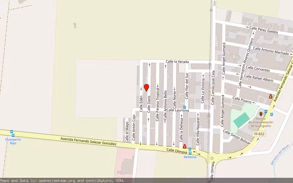 Mapa de Subasta Inmueble (Local comercial) en Arona, Santa Cruz de Tenerife