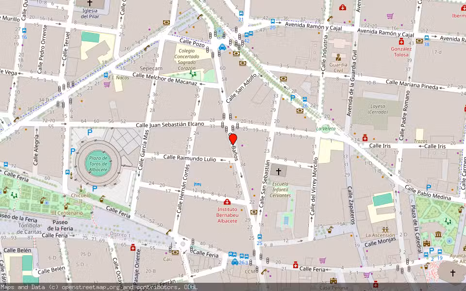 Mapa de Subasta Inmueble (Vivienda) en Albacete