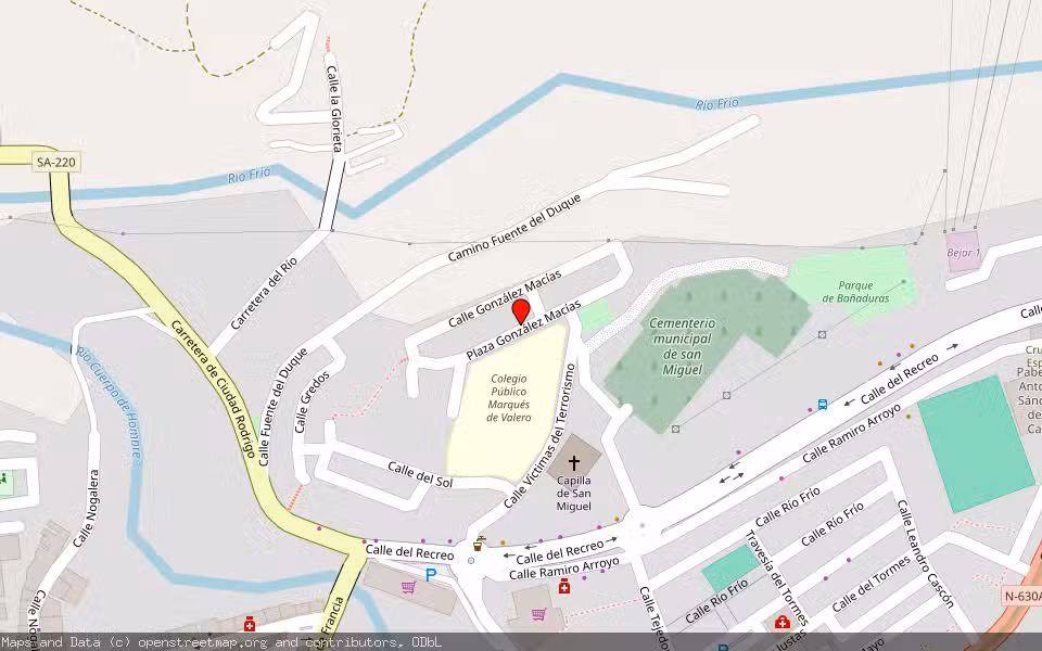 Mapa de Subasta Inmueble (Vivienda) en Bejar, Salamanca