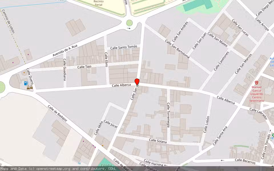 Mapa de Subasta Inmueble (Finca rústica) en Almendralejo, Badajoz