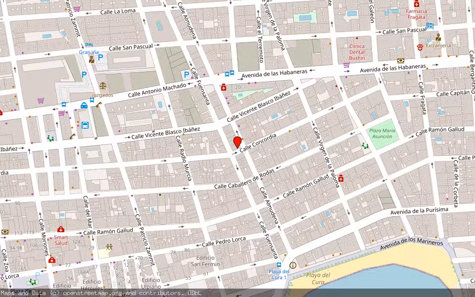 Mapa de Subasta Inmueble (Vivienda) en Torrevieja, Alicante/Alacant